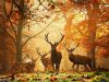 Az őszi napéjegyenlőség titkai és Mabon ősi ünnepe - az Ősvallás ünnepei